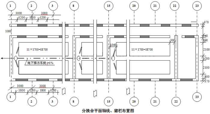 1000头分娩猪舍图——平面轴线、猪栏布置图